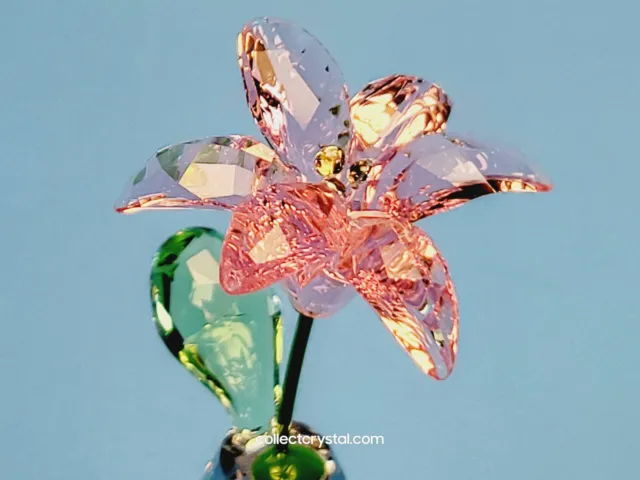 Swarovski Flower Dreams Pink Lily # 5439224 MIB Complete Perfect 4 Mothers Day