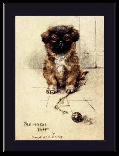 96905 English Pekingese Puppy Dog Puppies Dogs Wall Print Poster UK