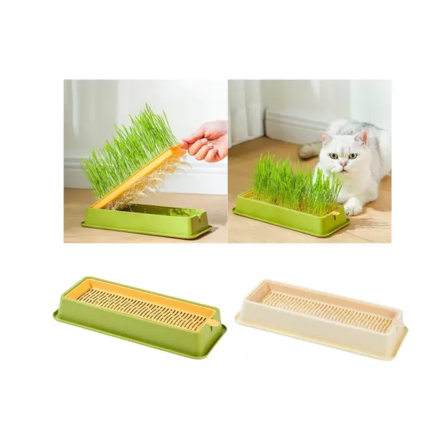 Bac à graines pour culture d'herbe à chat, bac de culture, récipient de  germination avec trous de drainage, boîte hydroponique pour micro-légumes,  jardin - AliExpress