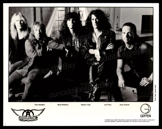 Vintage AEROSMITH Geffen Records B&W Promo Publicity Press Photo Steven Tyler