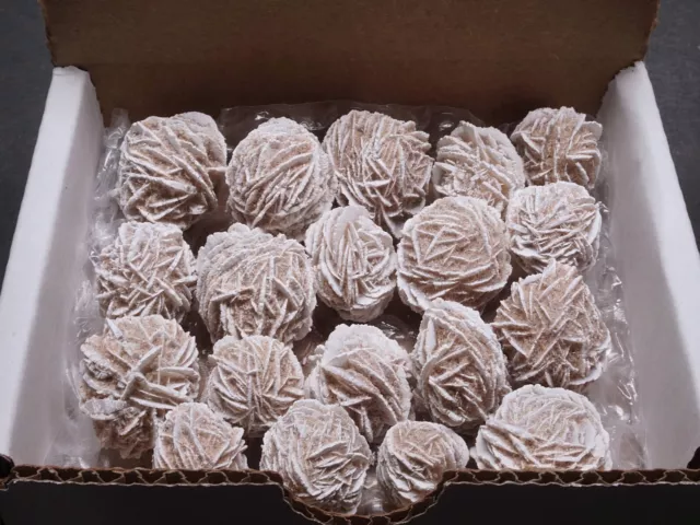 Desert Rose 1/4 LB Lot Gemstone Crystal Selenite Sand Rose Love Stone