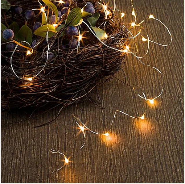 Winter Lane Indoor/Outdoor Multifunction 25' Micro LED Light String, Purple