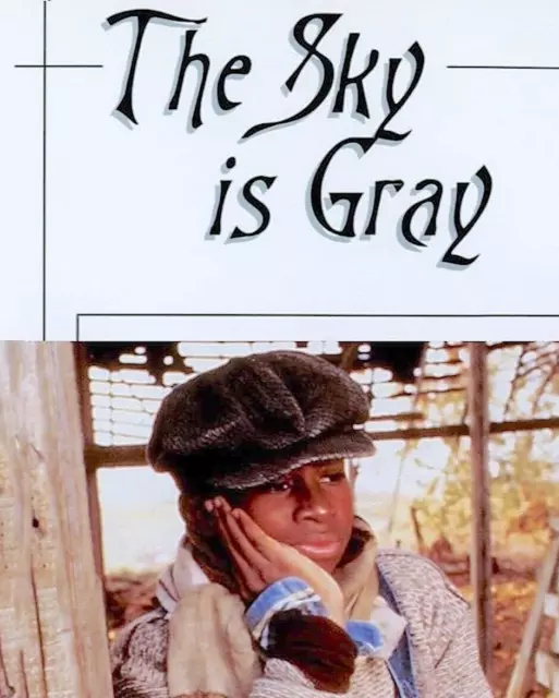 16mm family film "THE SKY IS GREY" (1980) Cleavon Little, Olivia Cole
