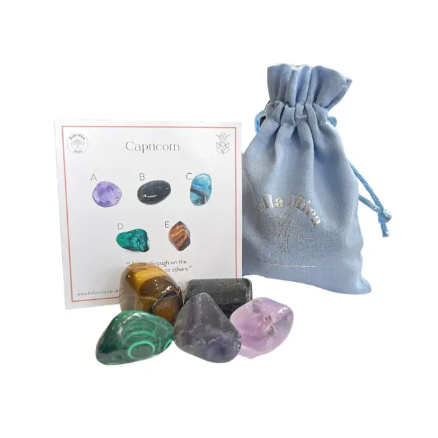 Capricorn Birthstone Zodiac Crystal Healing Pack January Birthday Gift Her Him