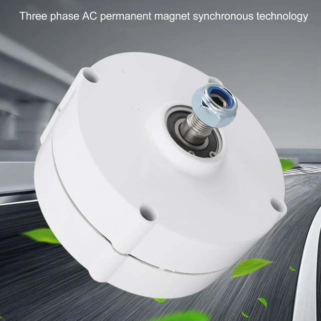 Generatore a magneti permanenti domestico 100 W alternatore 3 fasi doppio albero 24 V