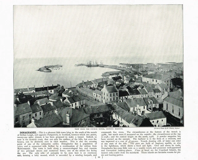 Donaghadee View From Church Tower Showing Harbour Antique Print 1895 RTC#89