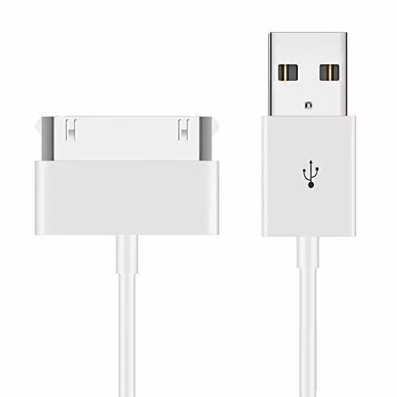 Cavo Dati USB Apple 30 PIN iPhone 3 3GS 4 4S iPad 1 2 3 (1 metro)