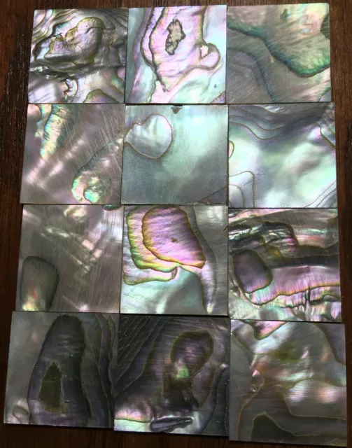 28.7 grams (12pcs) Abalone Fretboard Inlay NOS Gibson Kalamazoo Factory Lot-5 28.7 grams (12pcs) Abalone Fretboard Inlay NOS Gibson Kalamazoo Factory Lot-5