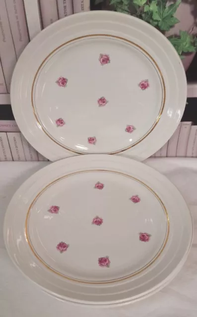 4 Assiettes Plates St Amand Ceranord Porcelor Babel Décor Petites Roses