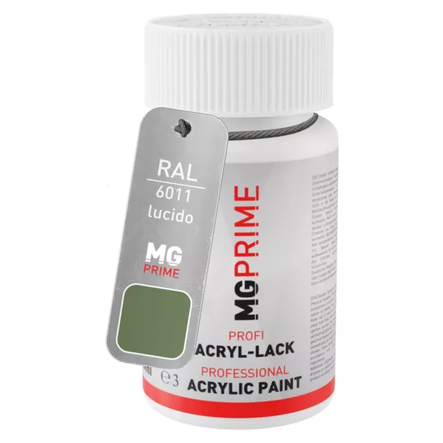 RAL 6011 Resedagrün lucido Stilo di ritocco da 50 ml ad asciugatura rapida