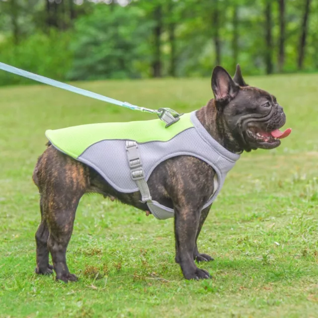 Breathable Pet Clothes Reflective Puppy Jacket  For Outdoors Walking