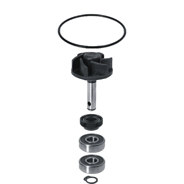 Kit revisione pompa acqua Minarelli 50 cc LC - Giò Moto Ricambi