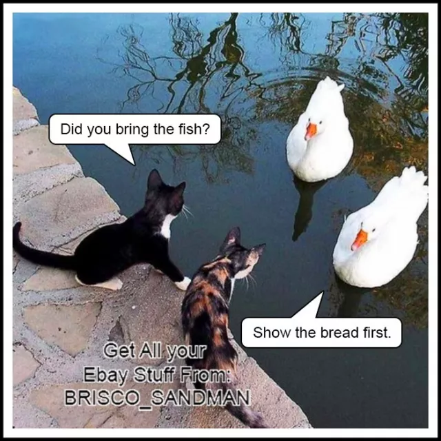 Fridge Fun Refrigerator Magnet "DUCK DEAL" Cats dealing w/ ducks Funny Animals