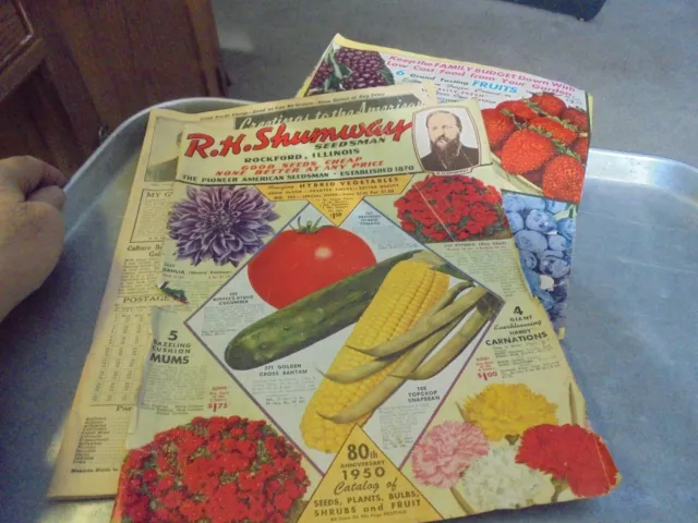 Vintage 1950 R. H. Shumway Nursery and Seed Catalog