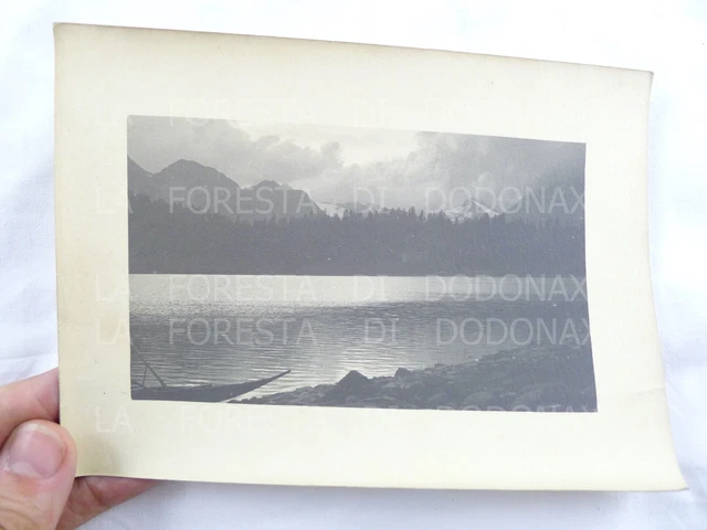 FOTOGRAFIA ANTICA 1904 LAGO PALù VALMALENCO  TRENTINO FOTO VECCHIA PANORAMA