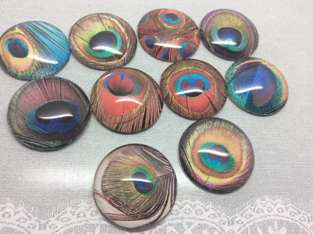 10 Peacock Feather Cabochons 16-25mm Mixed Round Glass Picture Dome Flat Back 2