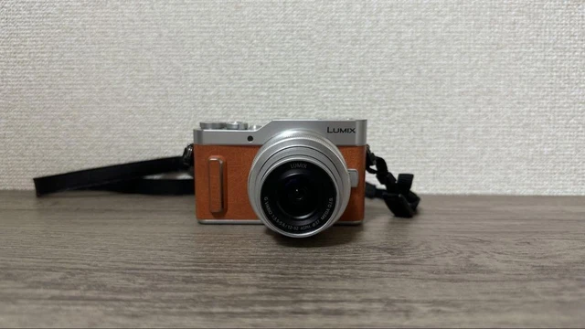 PANASONIC LUMIX DC-GF90 $753.26 - PicClick CA
