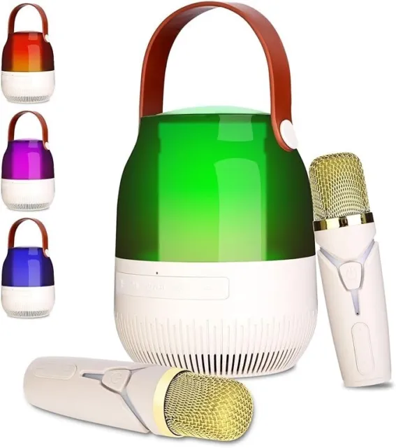 Portable Bluetooth Karaoke Speaker Machine Party Lights Mics LED Light Songs MP3