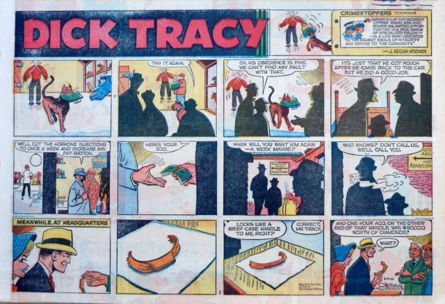 Dick Tracy by Chester Gould - large half-page color Sunday comic - May 7, 1961