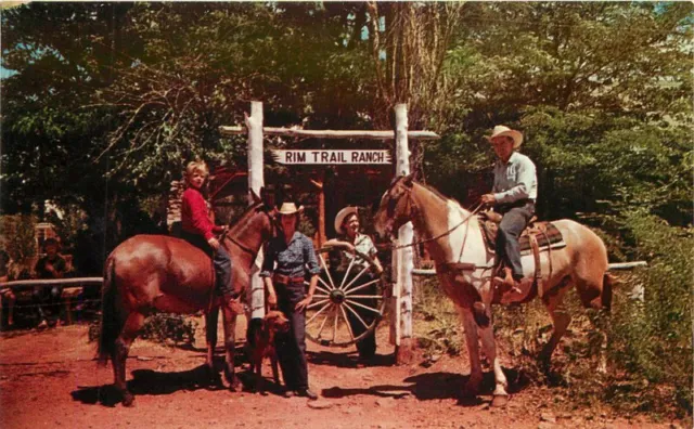 Dude Ranch Rim Trail Payson Arizona Norms Publishing 1950s Postcard 7995