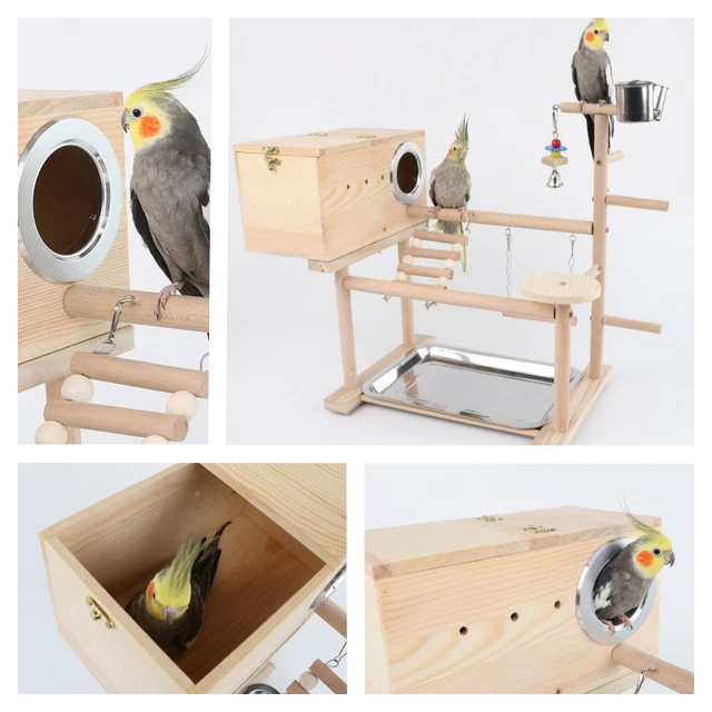 Vogel-Rack-Spielstand, Vogel-Spielplatz Sittich Holzvilla Turnhalle