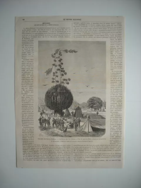Gravure 1864. Colonies Francaises. Senegal. Expedition Chez Les Diobass. Vue Du