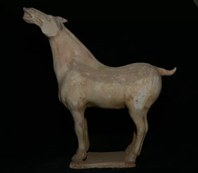 13.6" Old Chinese Tang Sancai Pottery Fengshui 12 Zodiac Horse Lucky Sculpture