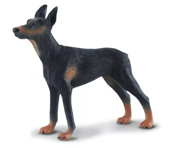 Collecta 88086 Dobermann Pinscher 10 cm Hunde und Katzen