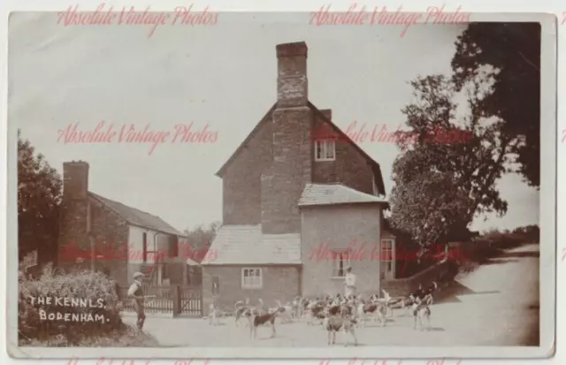 Old Postcard The Kennels ( Hunt ) Bodenham Nr Hereford Real Photo 1905-10