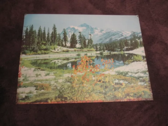 Vintage 1950's HELMSCENE JUMBO Size Replacement Scene MT SHUSKAN WA