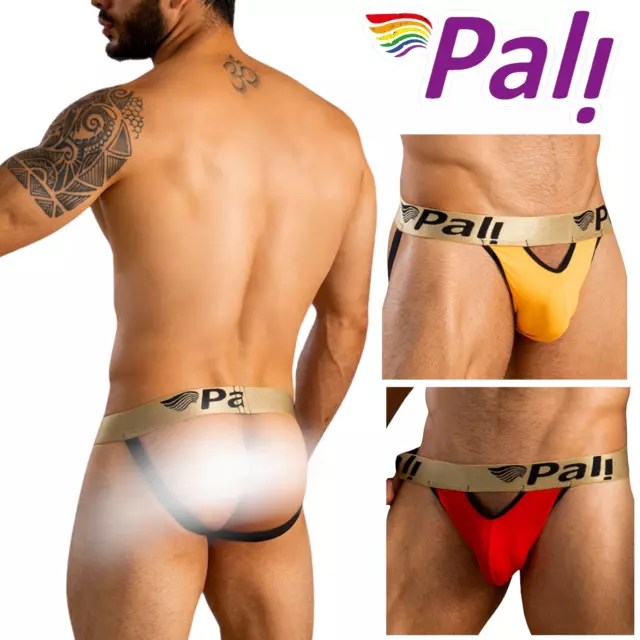 Pali Sexy Thong With Garter Belt for Men Underwear Lingerie Gay Briefs  Undies