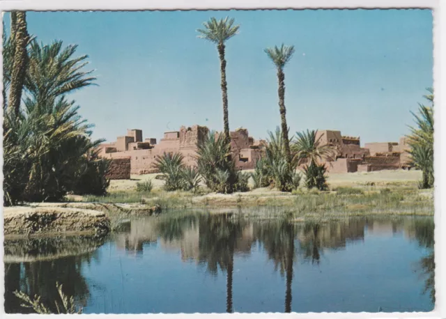 Carte Postale Couleur Cpsm Le Maroc Pittoresque Dans L'oasis De Zagora