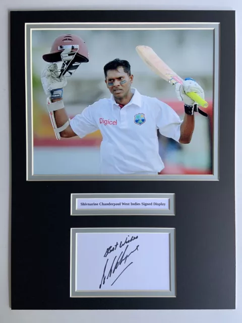 West Indies Cricket Shivnarine Chanderpaul Signed 16" X 12" Mounted Display