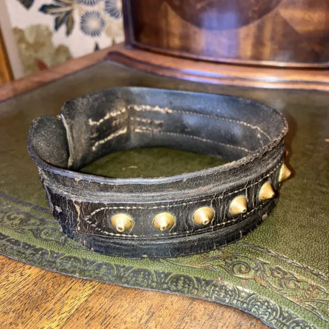 Rare Antique Victorian Terrier Dog Collar