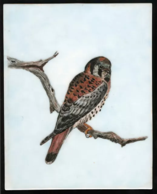 Early - Mid 20th C Primitive Folk Art Kestrel Painting on Porcelain 10x8" Signed