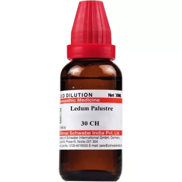 Willmar Schwabe India Ledum palustre (30 ml) 100% homeopático