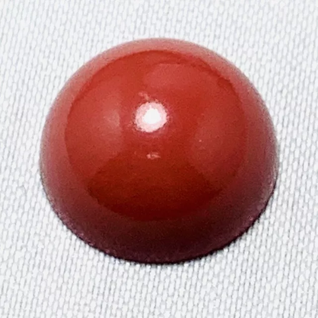 Rekonstruierte Runde Koralle Cabochon 6.0ct 13mm aus großem Lot