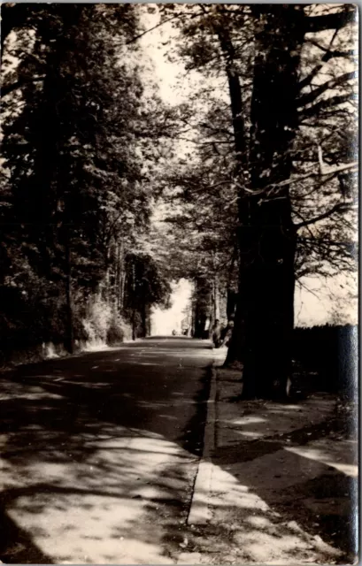 Trebanos The Avenue Pontardawe Postcard