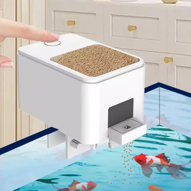 Distributeur automatique de nourriture pour poissons, synchronisation