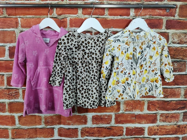 Baby Girl Bundle Age 9-12 Months Next H&M Towelling Dress Long Sleeve Top 80Cm