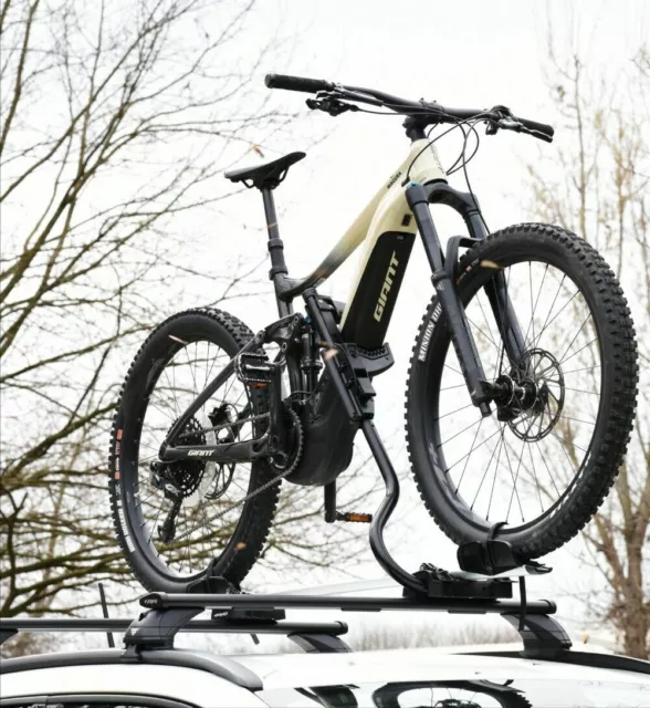 Fahrradträger Von Dach Pesio für Fahrrad Und Bike Ebike Fat Bike Max 25kg