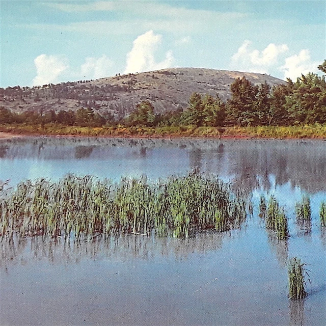STONE MOUNTAIN GEORGIA Civil War Confederate Memorial Park Postcard