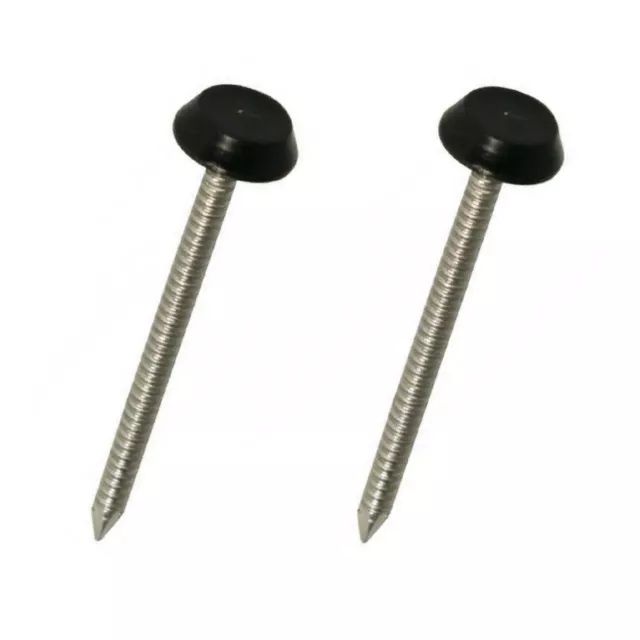 50 x schwarz UPVC 40 mm Poly Top Pins Nägel Kunststoff Kopf Faszien Befestigungen Polytop