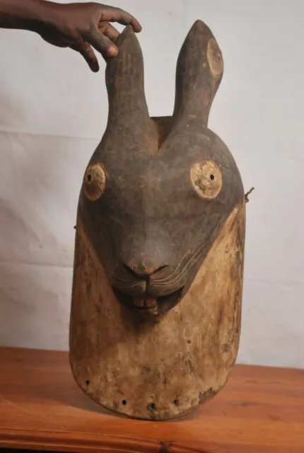 African art, Amazing luba rabbit Animal mask from katanga Congo (Zaire) 3