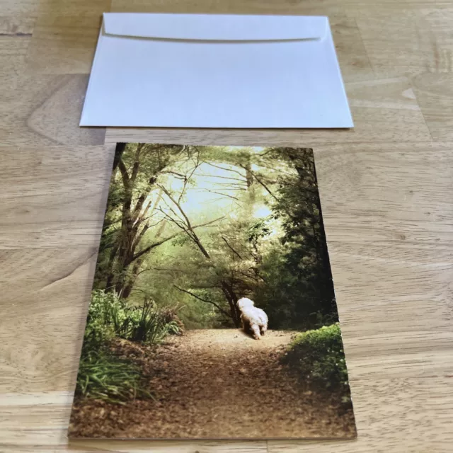 White Dog On Path Pet Sympathy Card - Greeting Card by Avanti Press