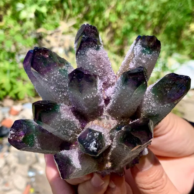 445G  New Find purple  PhantomQuartz Crystal Cluster MineralSpecimen