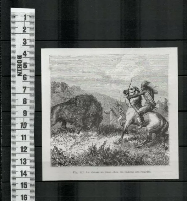 G37 / Engraving 1873 / Bison Hunting Among Prairie Indians