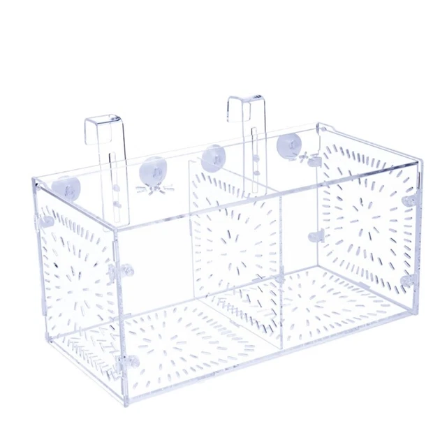 Fish for Hatchery Incubator Breeding Box Acrylic Isolation Box for Guppy