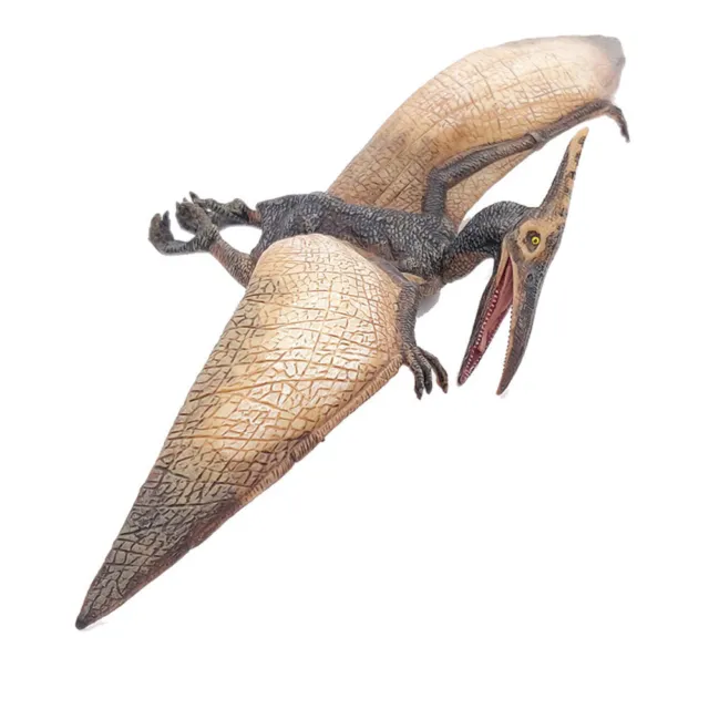 PAPO Dinosaurs Pteranodon Toy Figure, Multi-colour (55006)