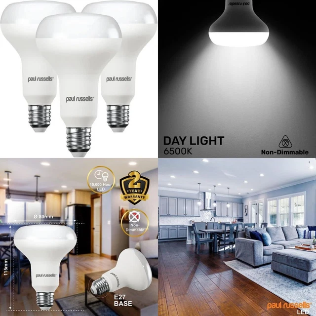 paul russells Daylight E27 Spotlight 10W LED Reflector R80 Light Edison...